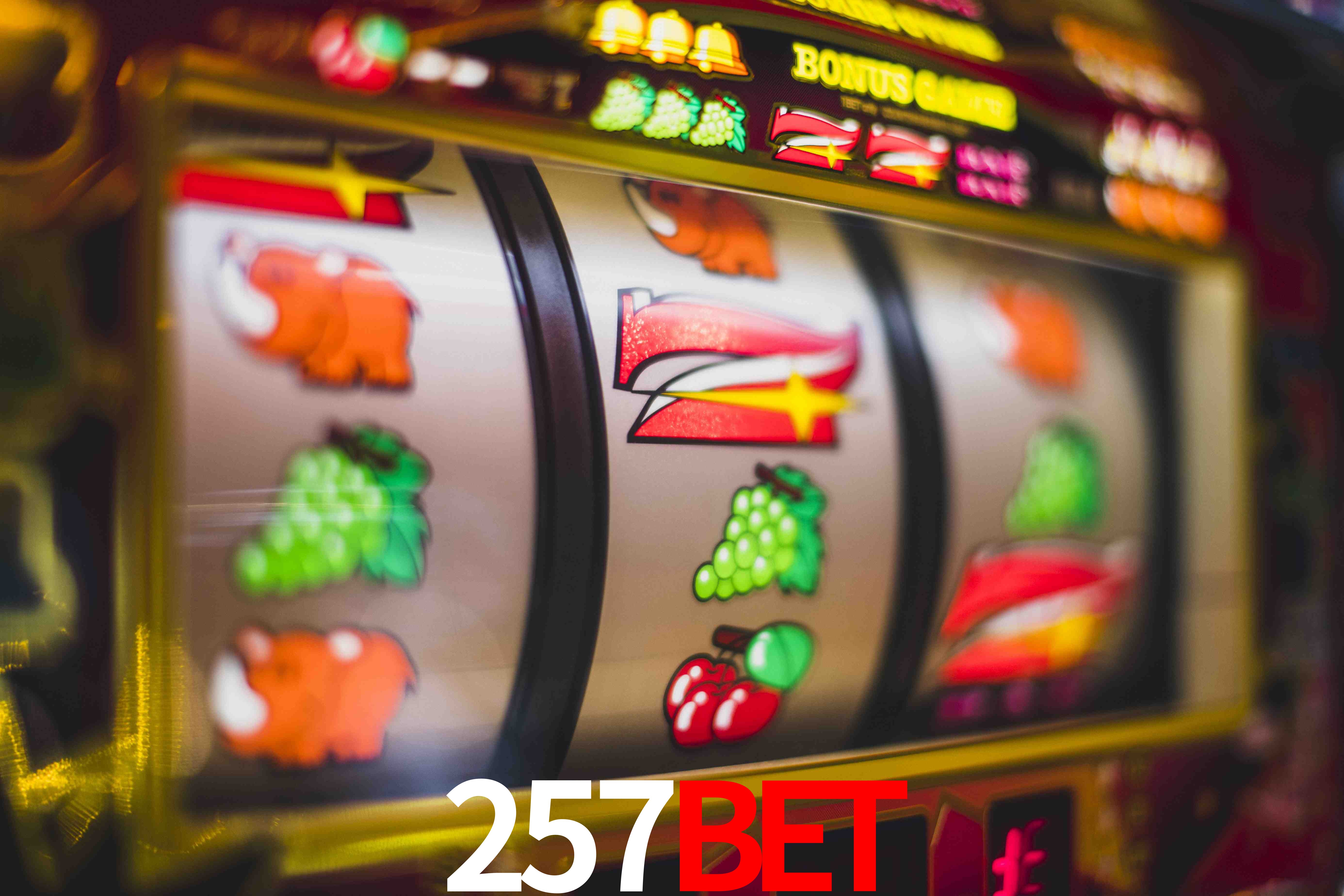 Experiência VIP 257bet